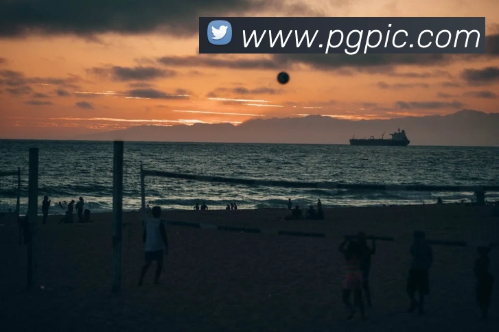 pg模拟器APP 封面图